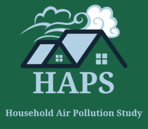House with clouds and wind, illustration. blue on green background,